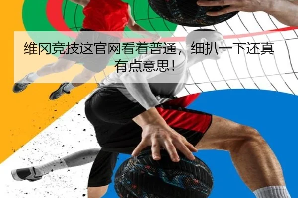 维冈竞技这官网看着普通，细扒一下还真有点意思！