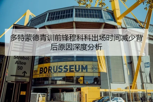 多特蒙德青训前锋穆科科出场时间减少背后原因深度分析
